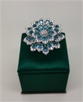 Anello Brocchi Preziosi Donna in Argento B420BAN - B420BAN